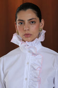 HORTENSIA VIVO ROSA